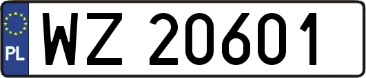 WZ20601