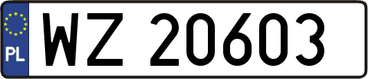 WZ20603