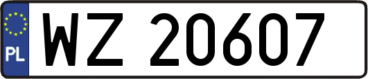 WZ20607