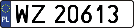 WZ20613