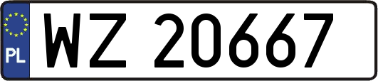 WZ20667