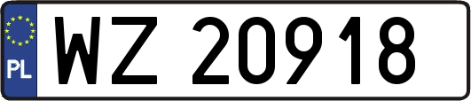 WZ20918