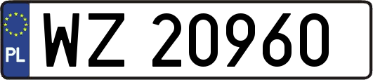 WZ20960