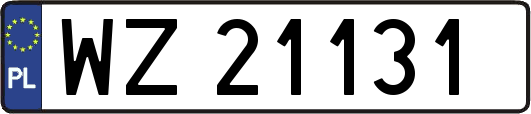 WZ21131