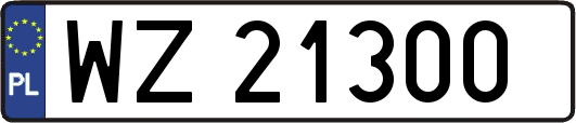 WZ21300