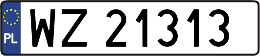 WZ21313