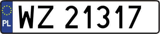 WZ21317