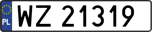 WZ21319