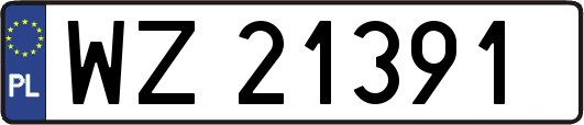 WZ21391