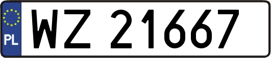 WZ21667