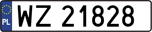 WZ21828