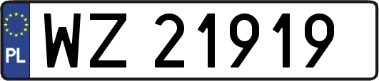 WZ21919