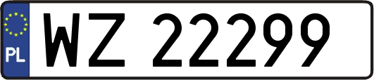 WZ22299