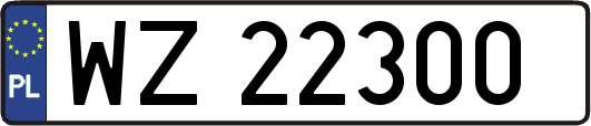 WZ22300
