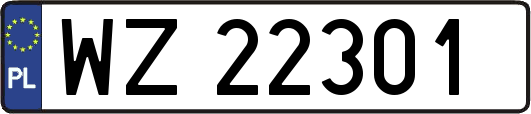 WZ22301
