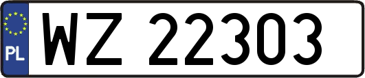 WZ22303