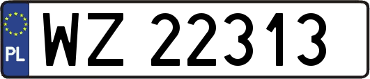 WZ22313