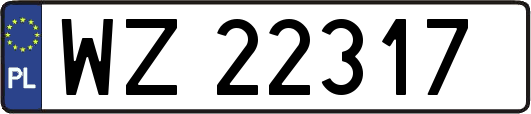 WZ22317