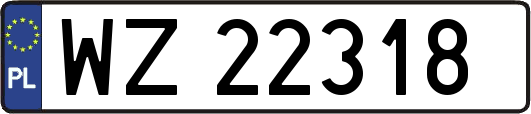 WZ22318