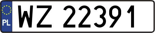 WZ22391