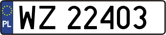 WZ22403