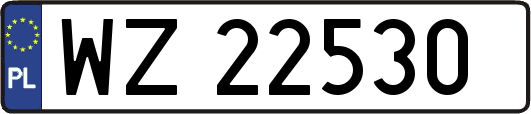 WZ22530