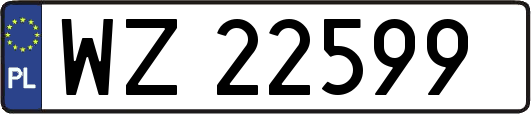 WZ22599
