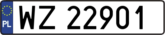 WZ22901