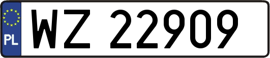 WZ22909