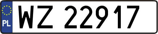 WZ22917
