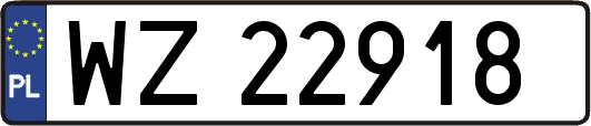 WZ22918