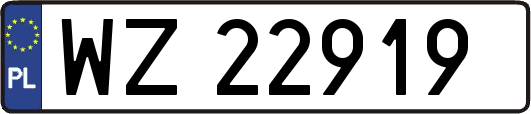 WZ22919