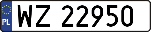 WZ22950