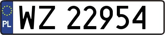 WZ22954