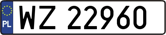 WZ22960