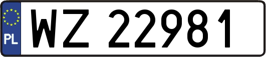 WZ22981