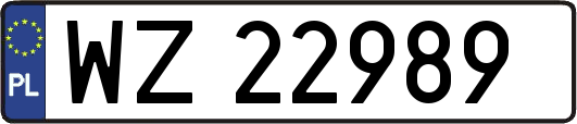 WZ22989