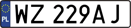 WZ229AJ