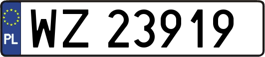 WZ23919