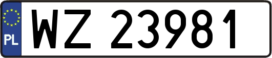 WZ23981