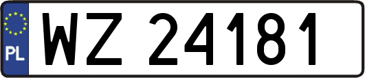 WZ24181