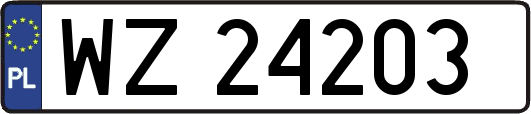 WZ24203