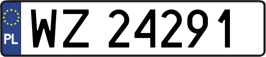 WZ24291