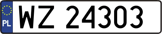 WZ24303