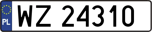 WZ24310