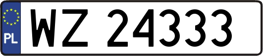 WZ24333