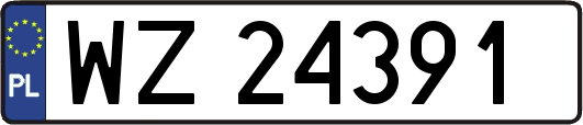 WZ24391