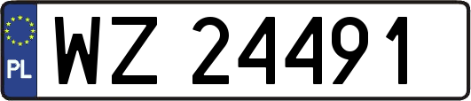 WZ24491