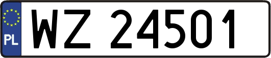 WZ24501