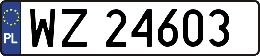 WZ24603
